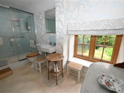 Picture 12